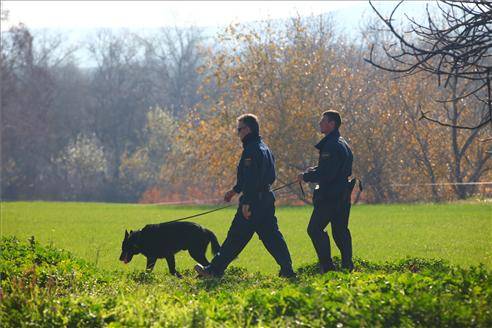 Confirman que los huesos encontrados pertenecen a un ser humano