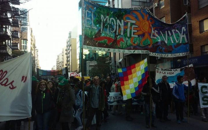 Marcha en defensa del Bosque Nativo