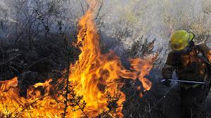 Aún trabajan 100 bomberos en el incendio de Santa María de Punilla