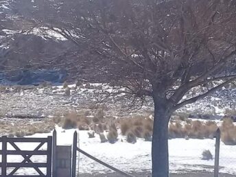 FB_IMG_1535125679443