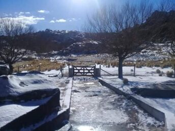 FB_IMG_1535125681974