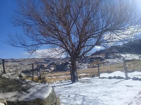 FB_IMG_1535125684565