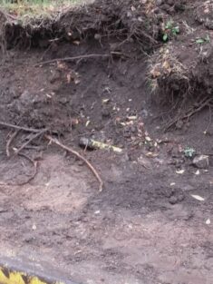 6c402ddf-1405-45c9-b0ff-895f666ee1a1