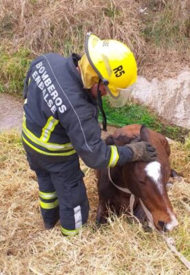 14372c0c-65a4-4a6e-a766-996c0ddd3488