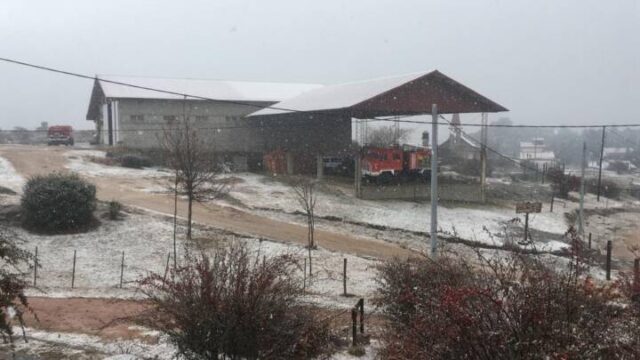 71e12e1f-aa04-4bef-99d8-60b29d7252ea