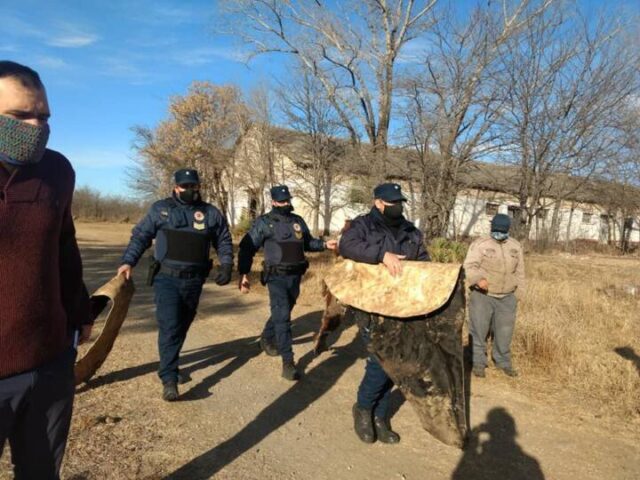Operativo policial en La Quintana
