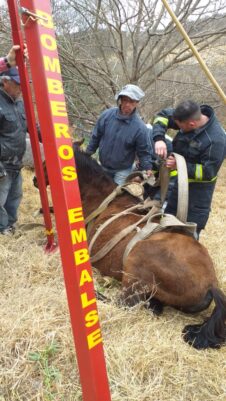 f5ab12bc-eda6-453e-8d6c-664403f7d80b