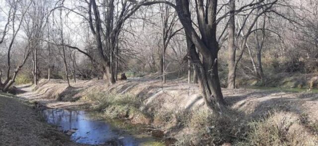 Se trabaja en la limpieza, desmalezamiento y encauzamiento de la zona “La Isla” del Río Los Reartes-La Ola Digital