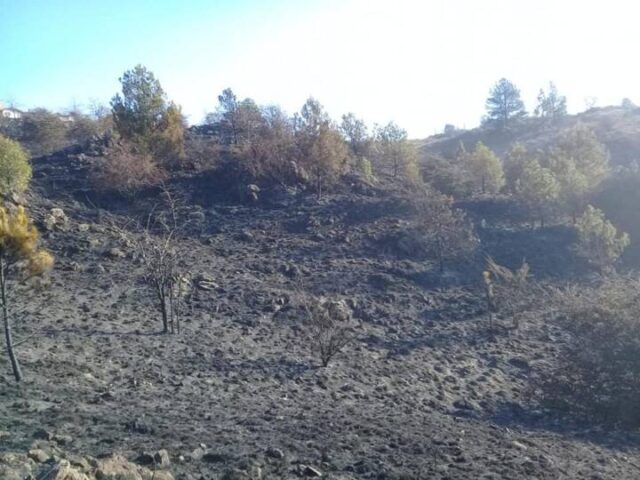 3 hectáreas se quemaron este sábado por la noche en Athos Pampa-La Ola Digital