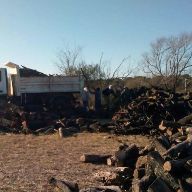 Donación de leña: Policía Ambiental entregó más de 30 toneladas