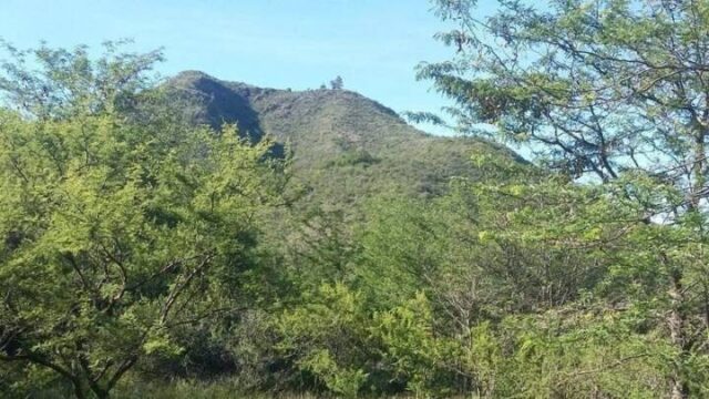 Lanzaron una petición vía web para la creación de la Reserva Natural Urbana "Tierras del Tacu"-La Ola Digital