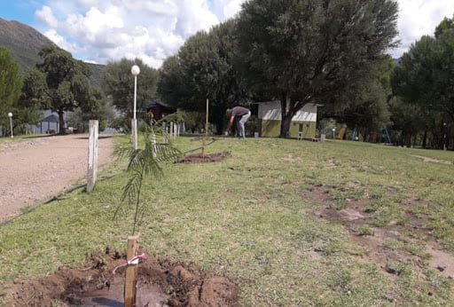 Situación ambiental en Villa Ciudad Parque