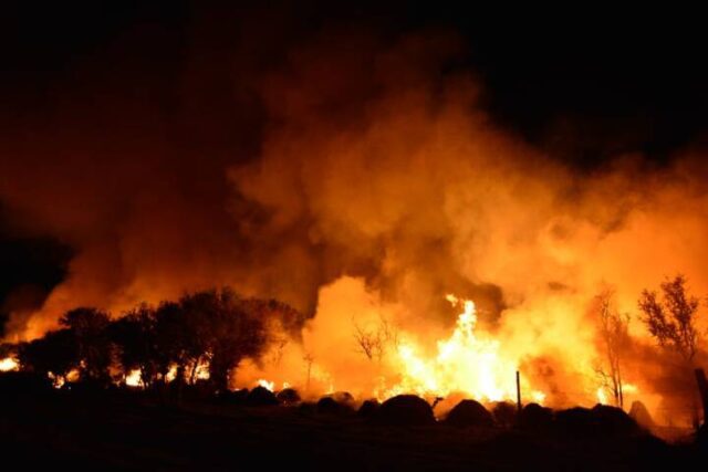 Un récord que entristece-La Ola Digital