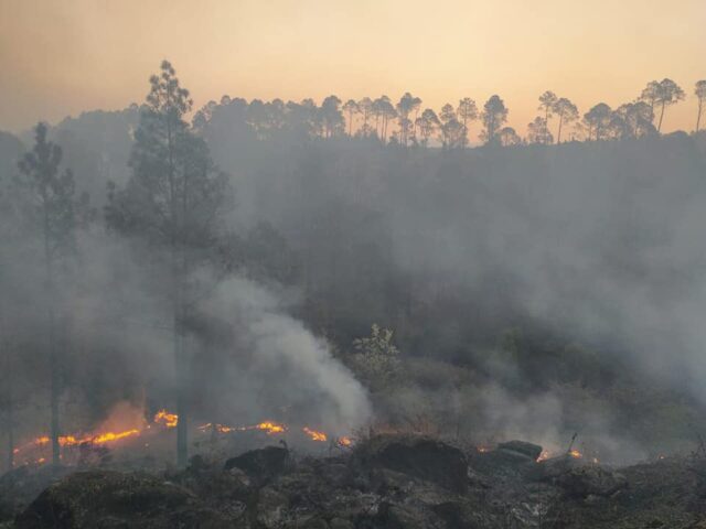 Más de 75 hectáreas quemadas este fin de semana en Calamuchita-La Ola Digital