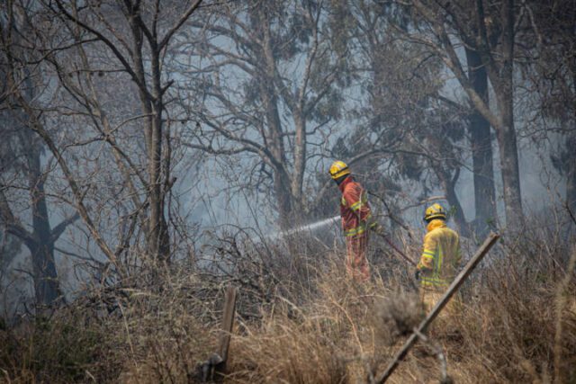 Más de 600 bomberos luchan contra el fuego-La Ola Digital