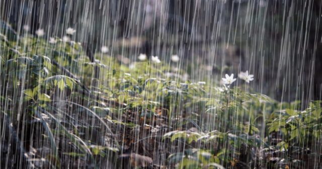 Alerta meteorológico para Córdoba - LA OLA digital