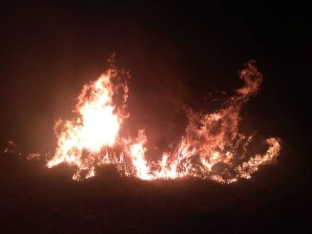 Incendio en la reserva natural Causachi de la Central Nuclear de Embalse-La Ola Digital