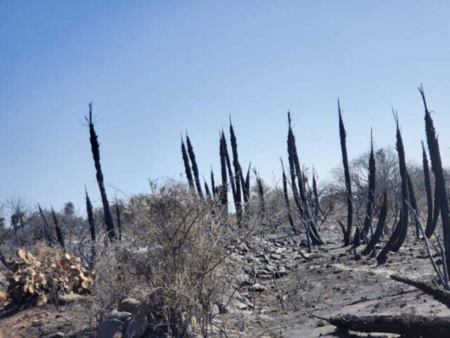 No se observan focos activos en Traslasierra
