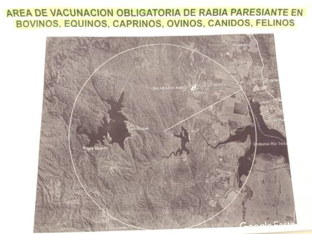 Un caso de rabia bovina en Cerro Pelado pone en alerta a Calamuchita-La Ola Digital