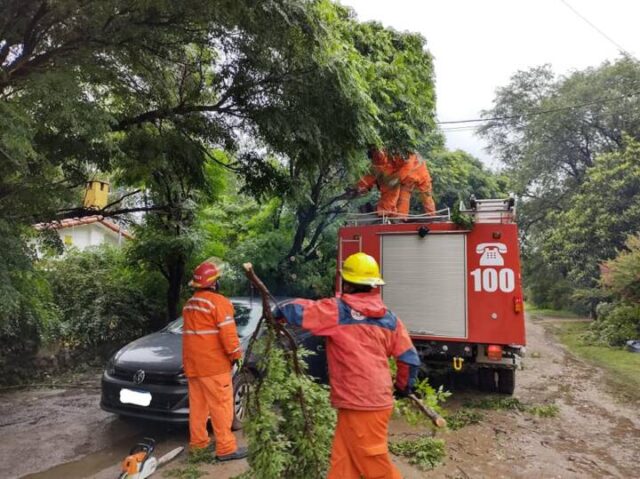 Dos árboles cayeron en Villa General Belgrano; uno de ellos sobre un auto-La Ola Digital