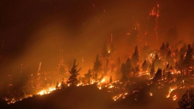 Incendios en Chubut y Río Negro
