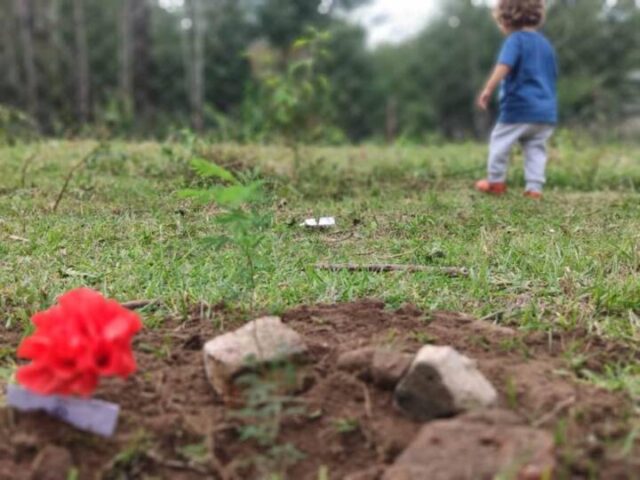 Paravachasca plantó memoria