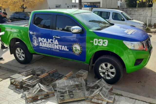 Policía Ambiental rescató más de 40 aves silvestres en cautiverio