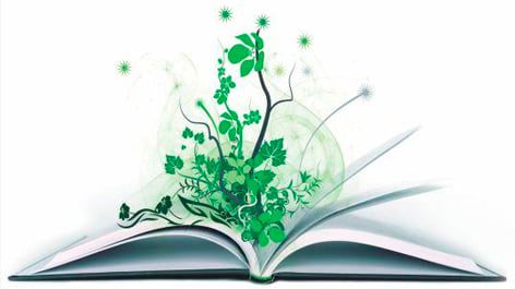 Las escuelas de Villa Ciudad Parque apuestan a la educación ambiental-La Ola Digital