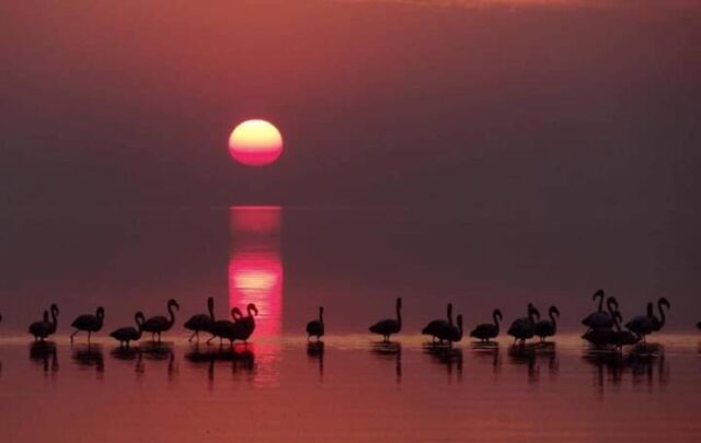 La laguna Mar Chiquita camino a recibir el máximo estatus de conservación ambiental