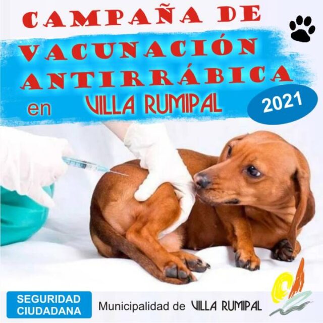 Villa Rumipal se prepara para una gran campaña antirrábica-La Ola Digital
