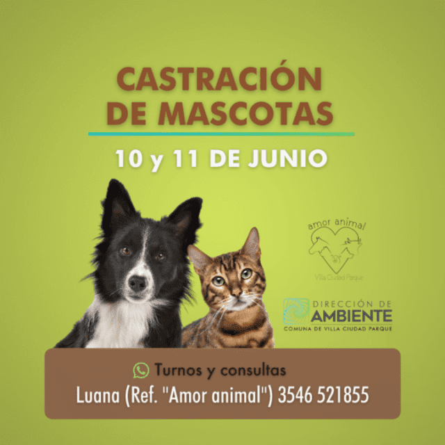 Se vienen dos jornadas de castración de mascotas en Villa Ciudad Parque-La Ola Digital