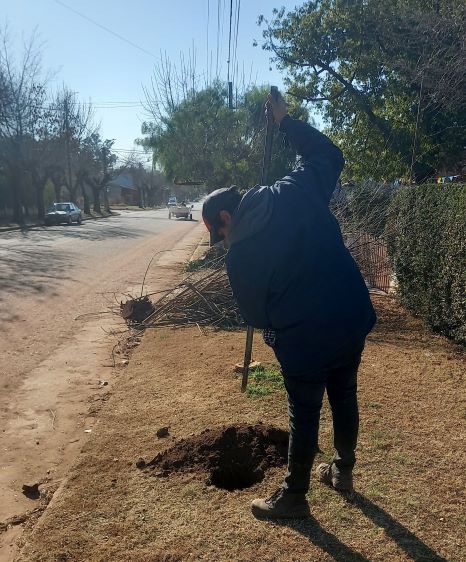 Villa del Dique lleva plantados 169 árboles en el marco del Plan de Poda y Reforestación 2021-La Ola Digital