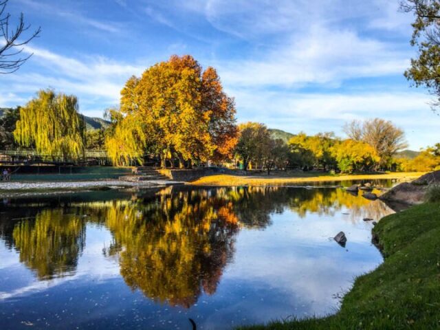 Últimos días para participar en el Concurso provincial de dibujo