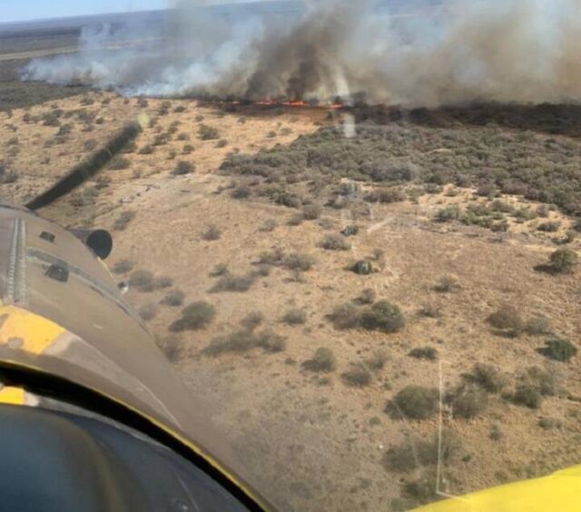 Incendios de Traslasierra, contenidos