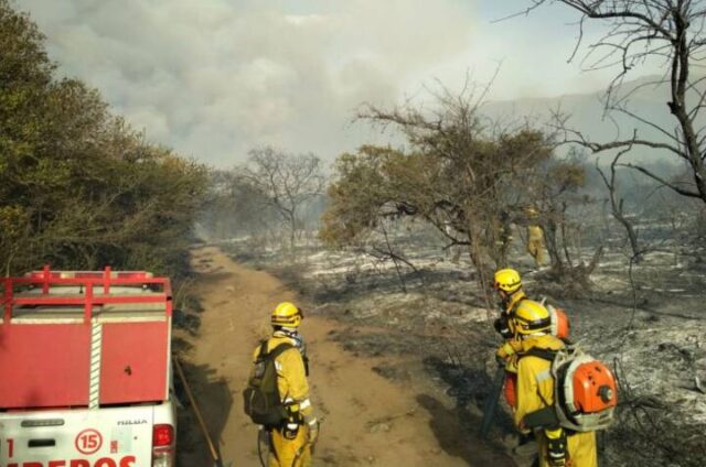Incendios forestales: cómo prevenirlos