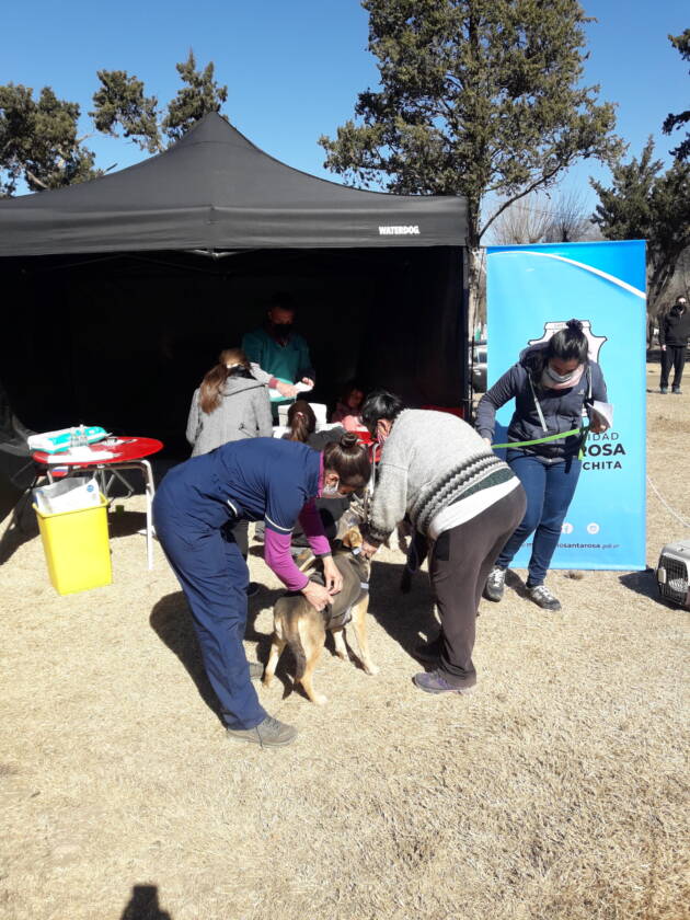2696 animales fueron alcanzados por la Campaña de Vacunación Antirrábica Gratuita-La Ola Digital