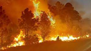 Avanzan las investigaciones por el incendio de Calamuchita: ya hay 4 imputados-La Ola Digital