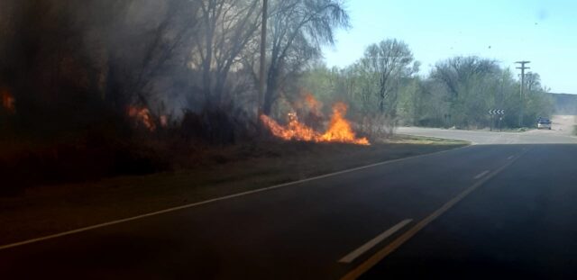 Bomberos combaten un incendio en San Ignacio-La Ola Digital