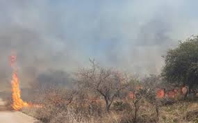 Esta cifra fue oficializada por la Conae. Se tratan de los incendios que azotaron el norte cordobes durante 11 días Los incendios que del 1 al 11 de octubre afectaron el norte de Córdoba causaron un impacto directo sobre 63.450 hectáreas, estimó la Comisión Nacional de Actividades Espaciales. El ente nacional radicado en Falda de Cañete difundió a la vez imágenes satelitales, que permiten visualizar el daño ambiental en cada uno de los focos principales. Así, solo en Caminiaga se registraron 52 mil hectáreas afectadas, mientras que los siniestros de San José de la Dormida impactaron en 8 mil hectáreas, y el de Eufrasio Loza en 3.200. El primer foco inició al parecer por la caída de un rayo sobre una palmera caranday, aunque el hecho es materia de investigación penal. Fuente: Conae