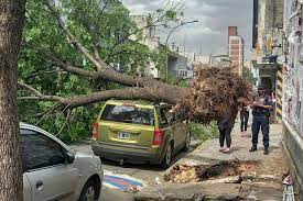 Destrozos por el viento en Córdoba