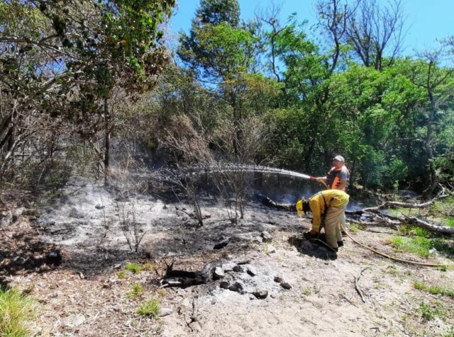 Incendio de pasturas en Isla Grande-La Ola Digital