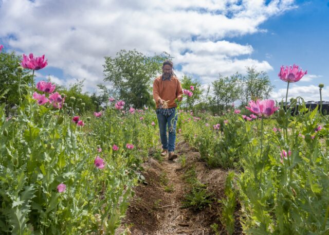 Villa Ciudad Parque lanzó su Polo Agroecológico-La Ola Digital
