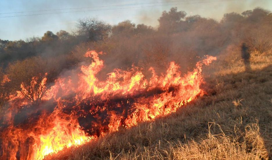 Incendio de gran magnitud tuvo lugar el fin de semana en cercanías a Pueblo Escondido-La Ola Digital