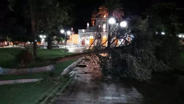 Destrozos por un fuerte temporal