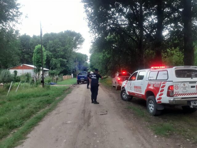 Un hombre murió en Los Reartes tras ser atacado por un enjambre de abejas-La Ola Digital