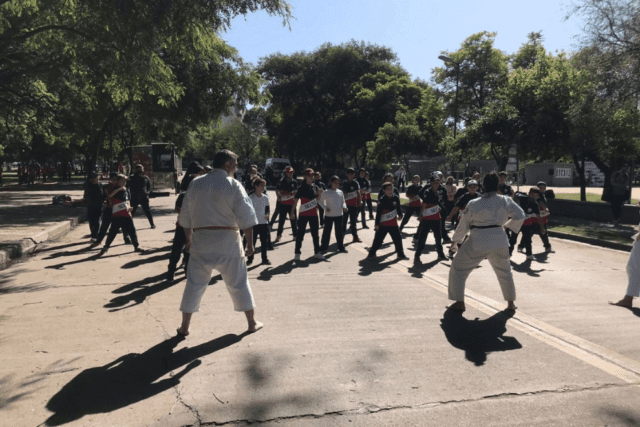 Programa Deporte Educativo