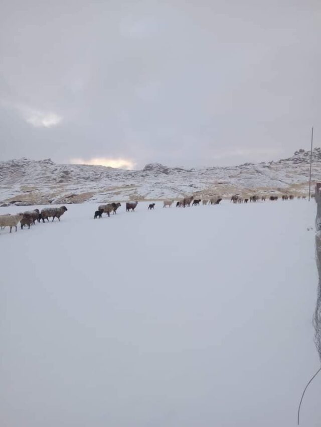 La nieve volvió a Calamuchita-La Ola Digital