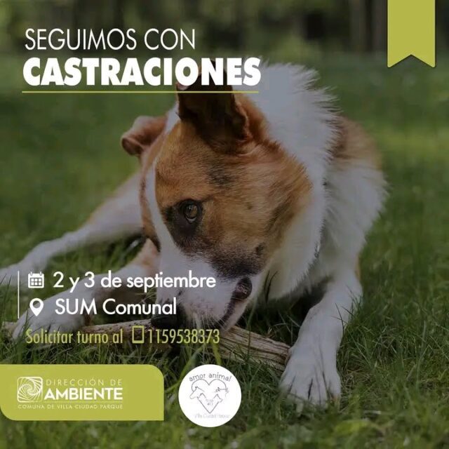 Villa Ciudad Parque: esterilización de mascotas