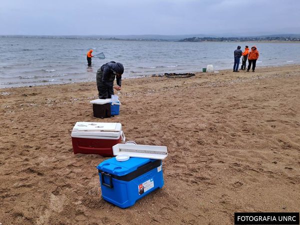 Mortandad de peces en el Dique Los Molinos: profesionales de la UNRC analizan las causas-La Ola Digital