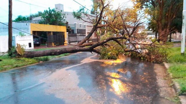 Las consecuencias de la tormenta: en Córdoba Capital, 11 voladuras de techos-La Ola Digital